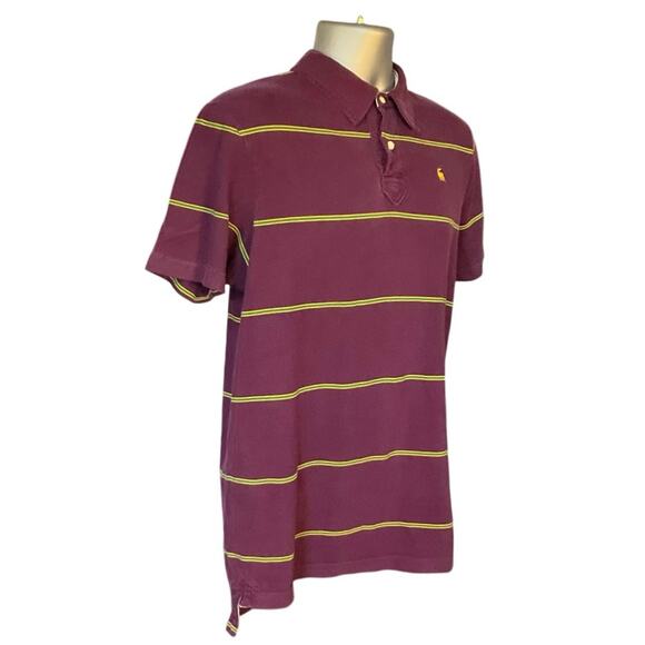 Abercrombie & Fitch Preppy Purple Striped Two Button Short Sleeve Polo Size XL - Picture 2 of 8
